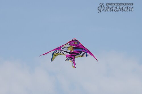 IMGP1262_r